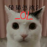 猫猫惊魂2