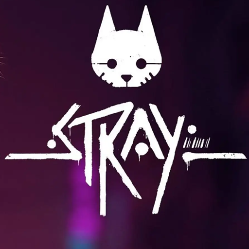 stray猫咪