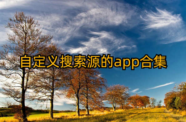 自定义搜索源的app合集