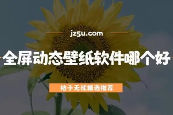 拥有海量壁纸资源的软件