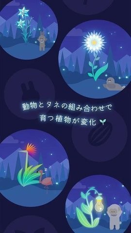 夜之森游戏中文版