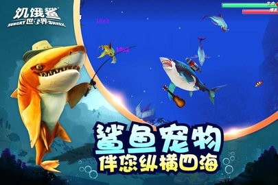 hungrysharkworld国际服4.4.0版本