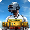 pubgmoblle国际版