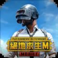 PUBG2.8版本